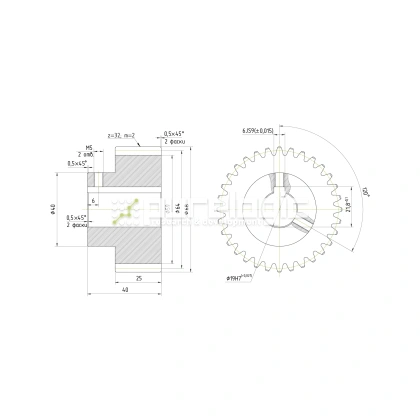 Шестерня прямозубая GS2-T32D19 фото