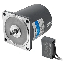 Двигатель индукционный 5IK40GN-C