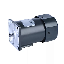 Двигатель индукционный с тормозом 5RK120GU-CFM