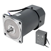 Двигатель индукционный 5IK90RGU-CF