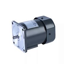 Двигатель индукционный 5IK60RGU-CF