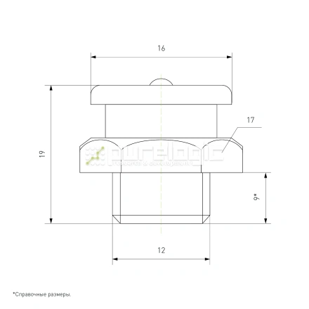 Пресс-масленка CFM12x1.25 фото