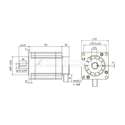 Двигатель шаговый трехфазный 3PL110H151-D19 фото