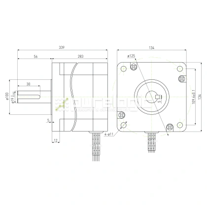 Двигатель шаговый PL130H283-D19 фото