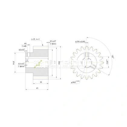 Шестерня прямозубая GS3-T20D19 фото