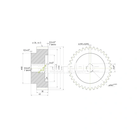 Шестерня прямозубая GS3-T36D19 фото