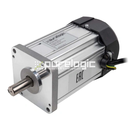 Бесколлекторный двигатель DT80BLF160-3140 фото